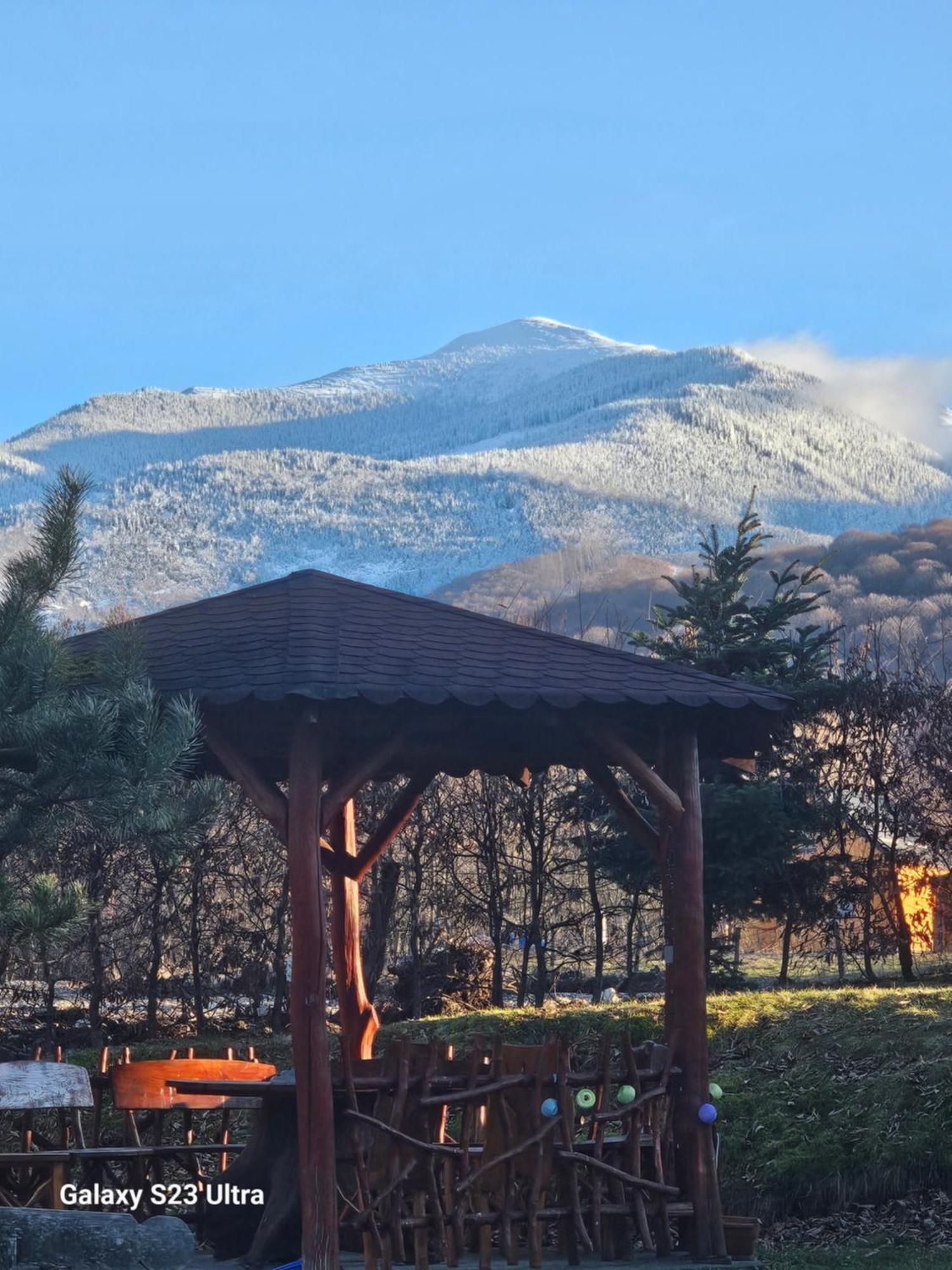 Casa De Vacanta Marin Arpaşu de Sus Exteriér fotografie
