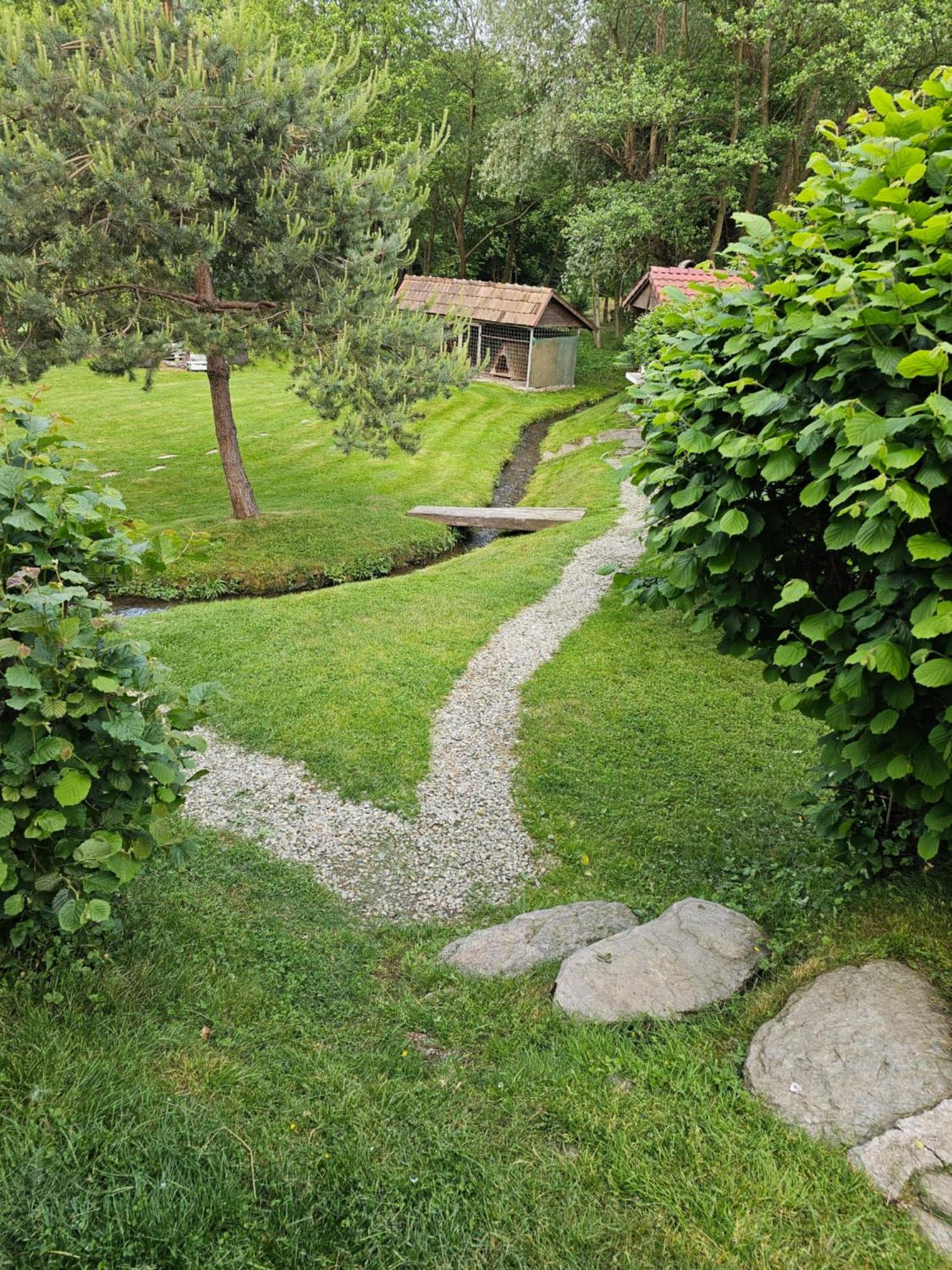 Casa De Vacanta Marin Arpaşu de Sus Exteriér fotografie
