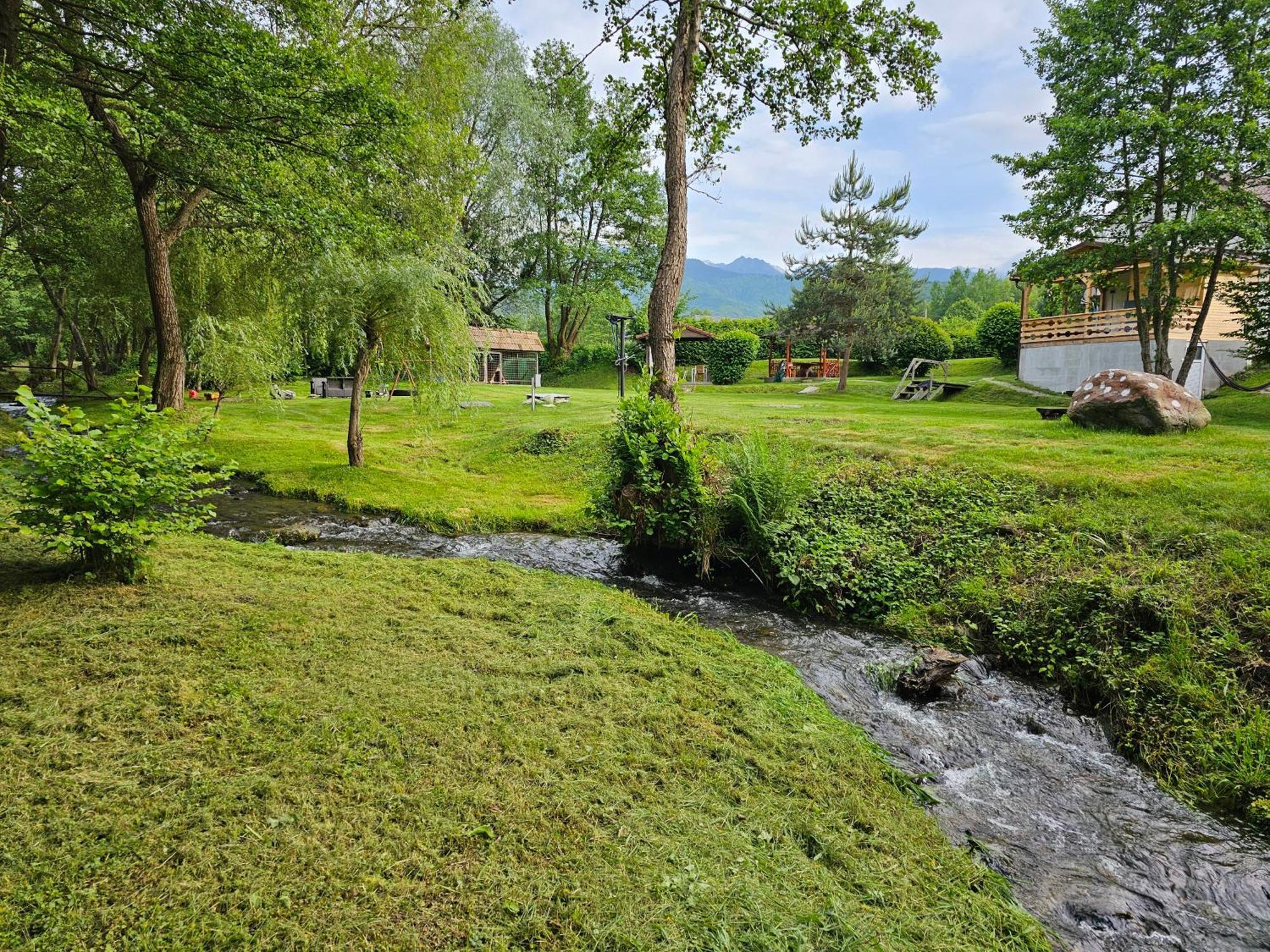Casa De Vacanta Marin Arpaşu de Sus Exteriér fotografie