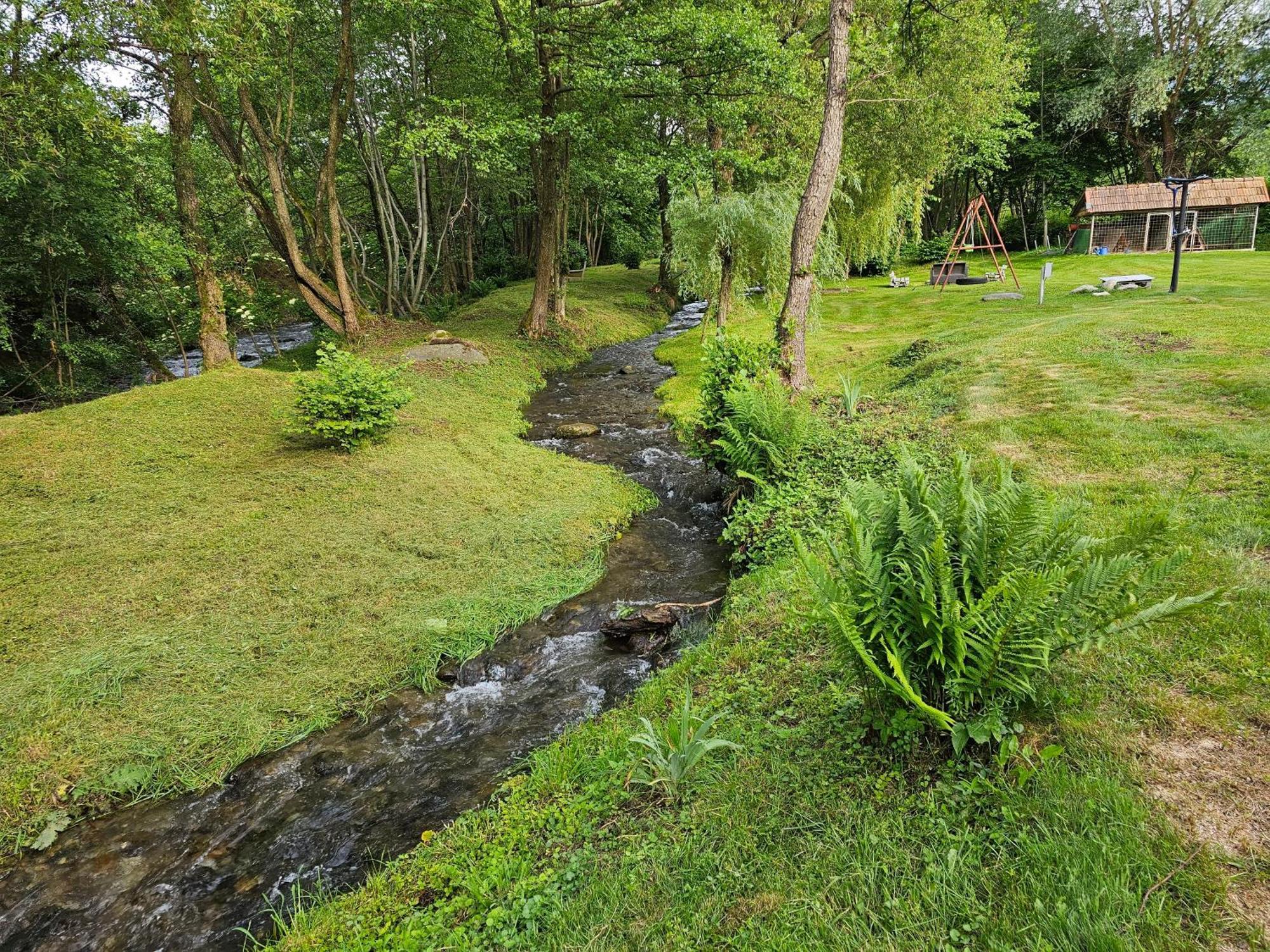 Casa De Vacanta Marin Arpaşu de Sus Exteriér fotografie