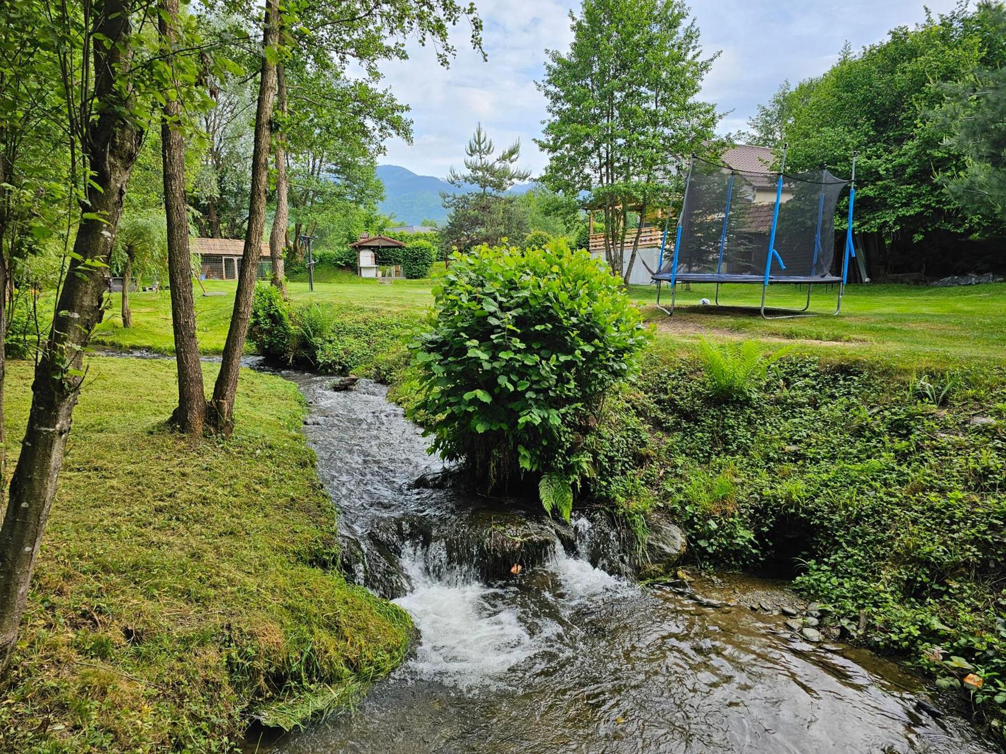 Casa De Vacanta Marin Arpaşu de Sus Exteriér fotografie