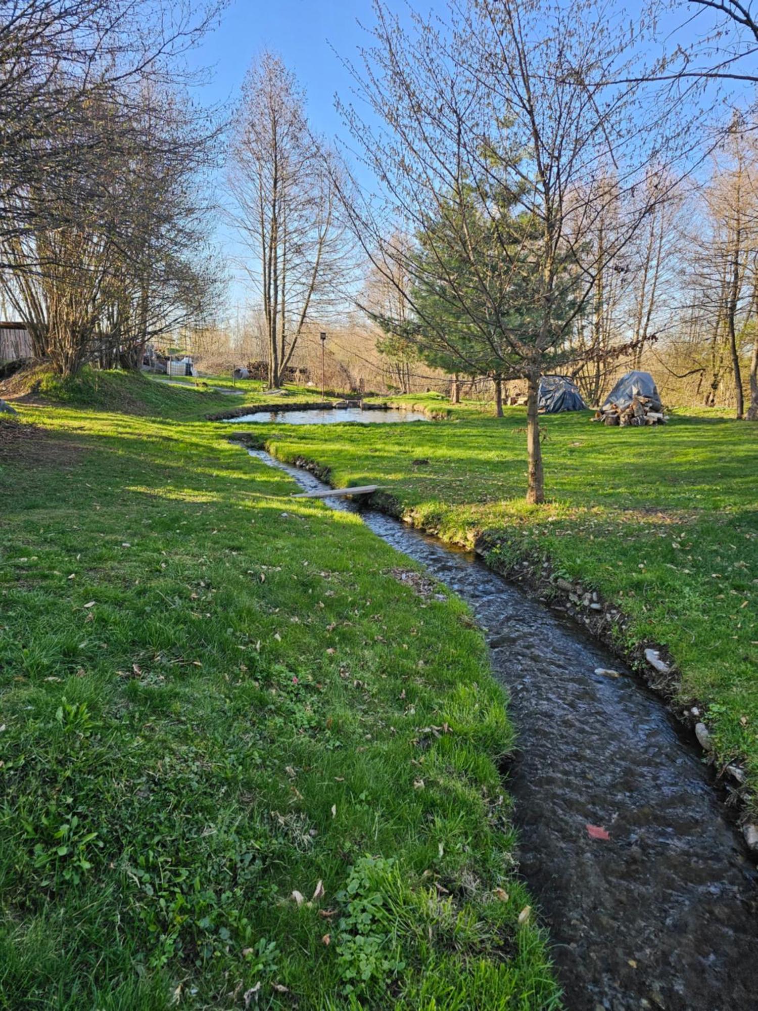 Casa De Vacanta Marin Arpaşu de Sus Exteriér fotografie