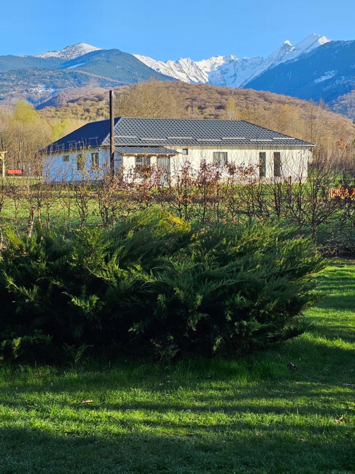 Casa De Vacanta Marin Arpaşu de Sus Exteriér fotografie
